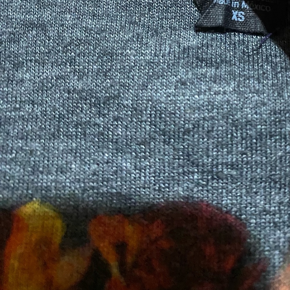 Panic At The Disco Gray T-shirt, size XS, smoke free home - Picture 2 of 3